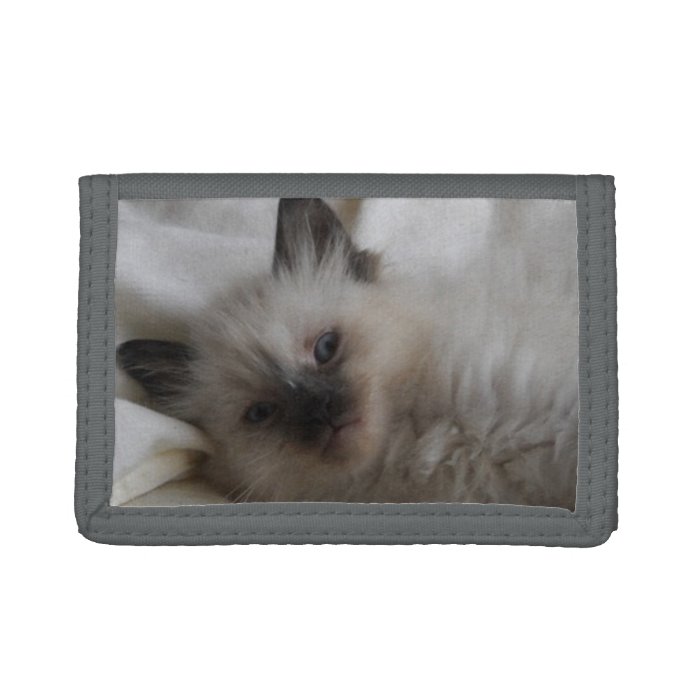 Beautiful Siamese Kitten Wallet