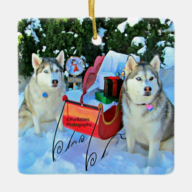 Beautiful Siberian Huskies Ceramic Ornament (Front)