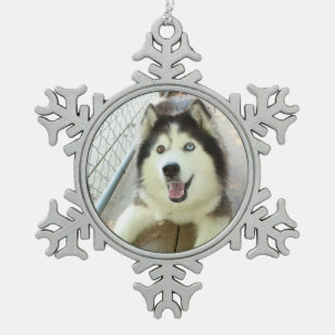 Beautiful Siberian Husky Ornament