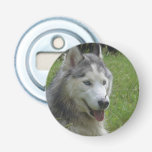 Beautiful Siberian Husky Puppy Dog Bottle Opener