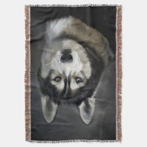 Beautiful Siberian Husky Throw Blanket | Zazzle