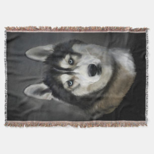 Beautiful Siberian Husky Throw Blanket