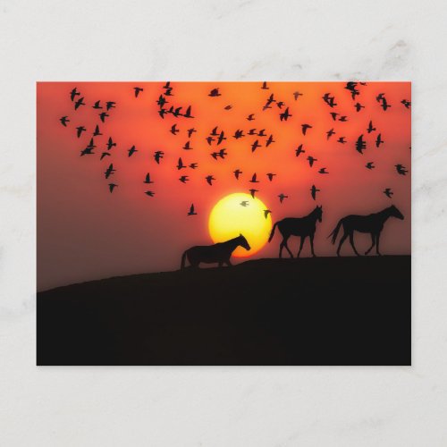 Beautiful Silhouette Sunset with Horses Postcard