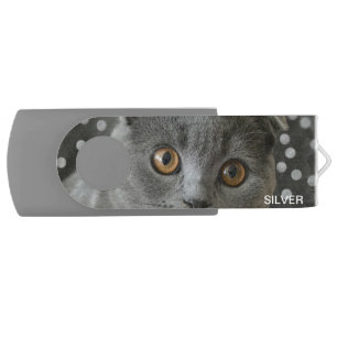 Beautiful Silver Gray Cat & Editable Name Flash Drive