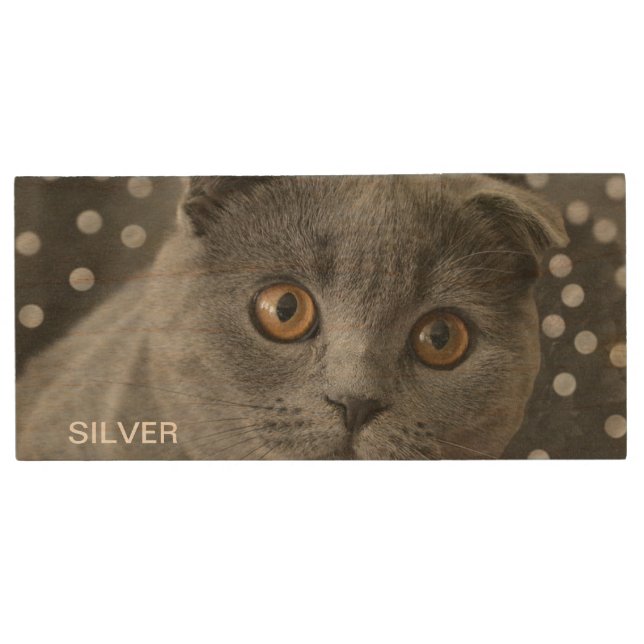 Beautiful Silver Gray Cat & Editable Name Wood Flash Drive (Front)