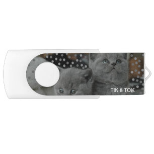Beautiful Silver Gray Kitty Cats & Editable Name Flash Drive