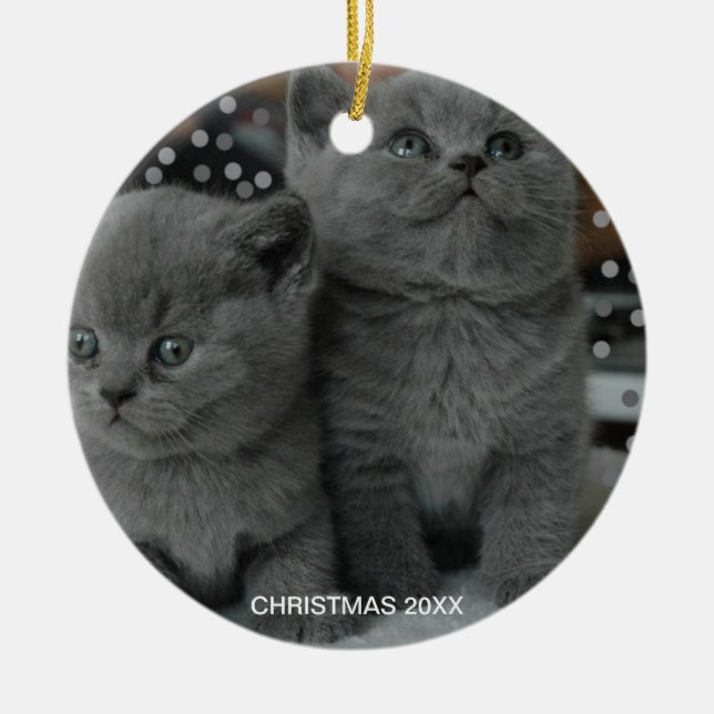 Beautiful Silver Gray Kitty Cats & Editable Text Ceramic Ornament (Front)