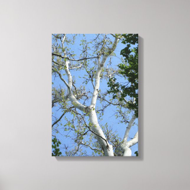 Beautiful simple tree and sky wall art (Front)