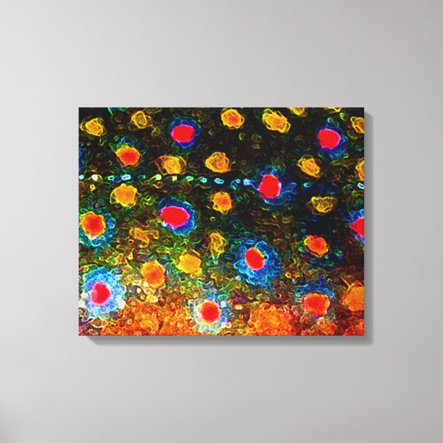 "Beautiful Skin, Brook Trout" by James Lady Canvas Print (Front)