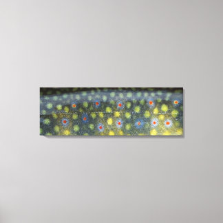 Beautiful Skin, Jordan River Brookie" Canvas Print