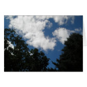 BEAUTIFUL SKY (Front Horizontal)