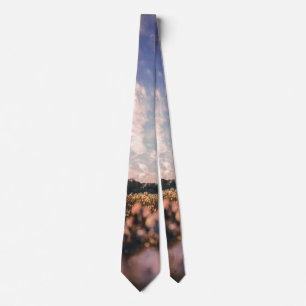 beautiful sky over the plain neck tie