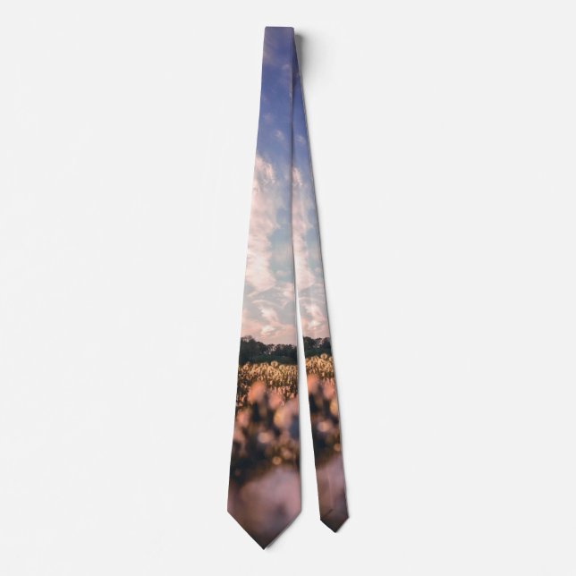 beautiful sky over the plain neck tie (Front)