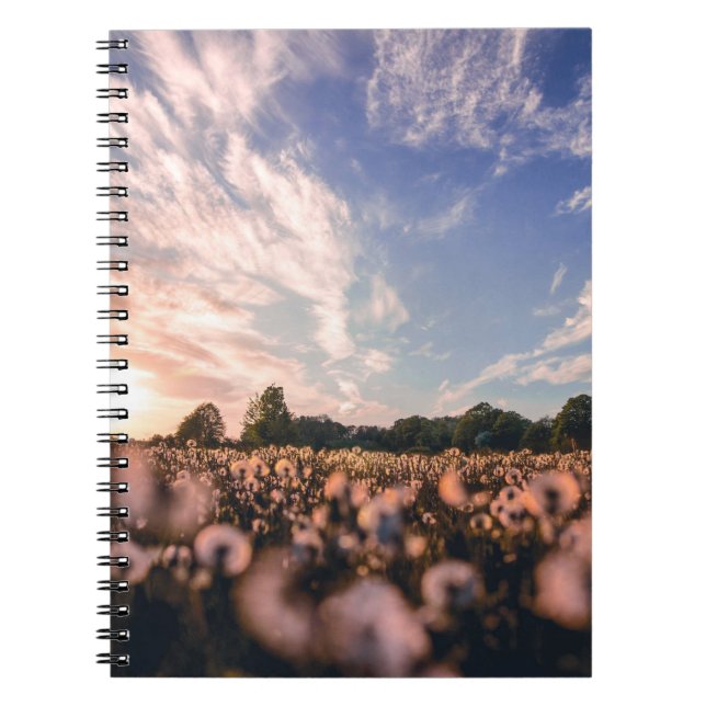 beautiful sky over the plain notebook (Front)