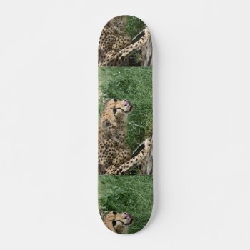 Beautiful Sleek Cheetah Cat Skateboard by WildlifeAnimals at Zazzle