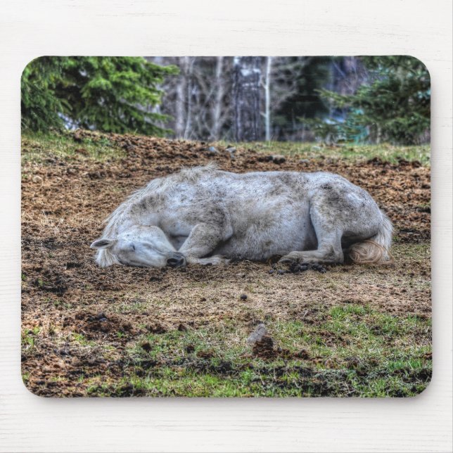 Beautiful Sleeping White Mare Ranch Horse Mouse Pad (Front)