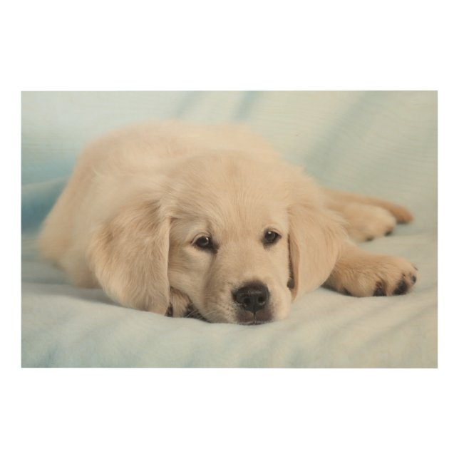 Beautiful Small Puppy Wood Wall Decor (Front)