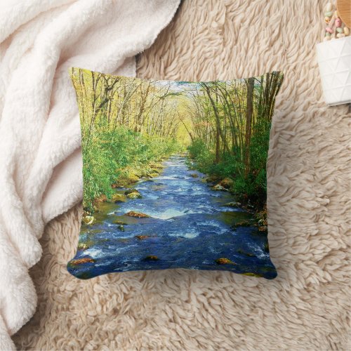 Beautiful Smoky Mountains Stream _ Autumn Scenery Throw Pillow