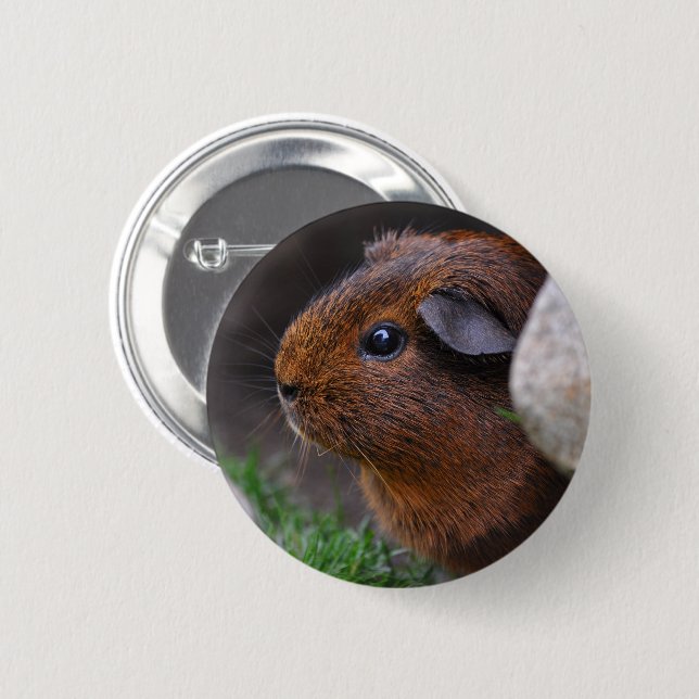 Beautiful Smooth Gold Agouti Guinea Pig Button (Front & Back)