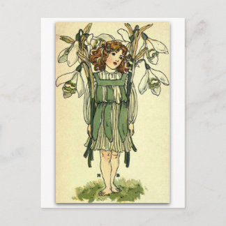 Beautiful Snow drops by NELLIE BENSON Postcard