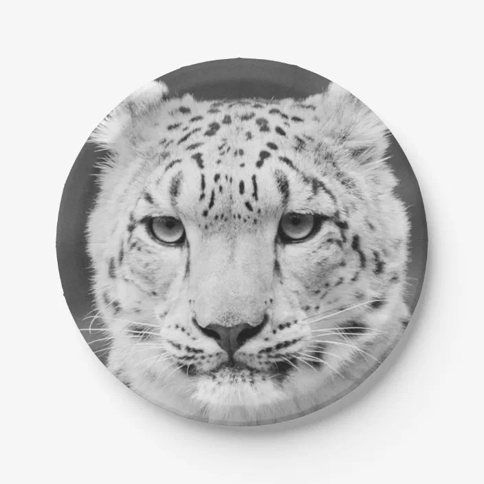 Beautiful Snow Leopard Black And White Portrait Paper Plate Zazzle Com