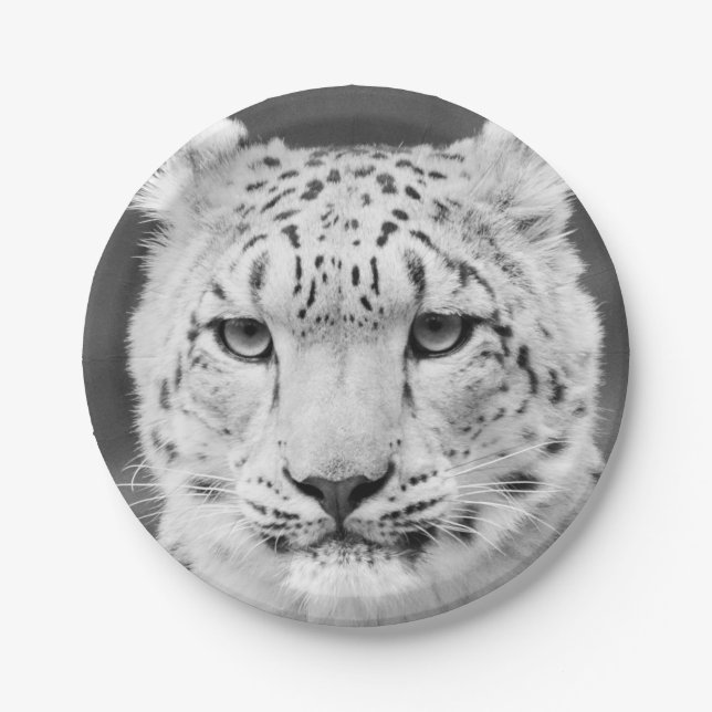 Beautiful Snow Leopard Black and White Portrait Paper Plates (Front)