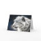 Beautiful Snow Leopard Greeting Card