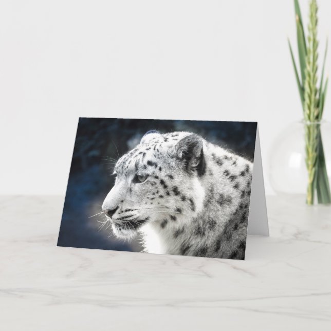 Beautiful Snow Leopard Greeting Card (Front)
