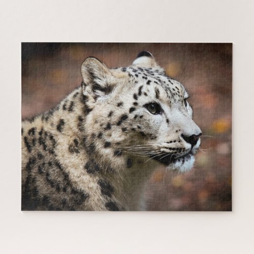Beautiful Snow Leopard Jigsaw Puzzle