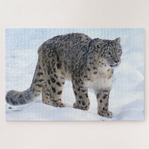 Beautiful snow leopard jigsaw puzzle