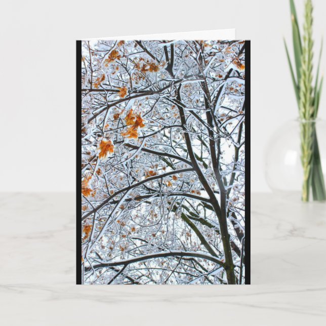 Beautiful Snow Scene Any Occasion Card (Front)
