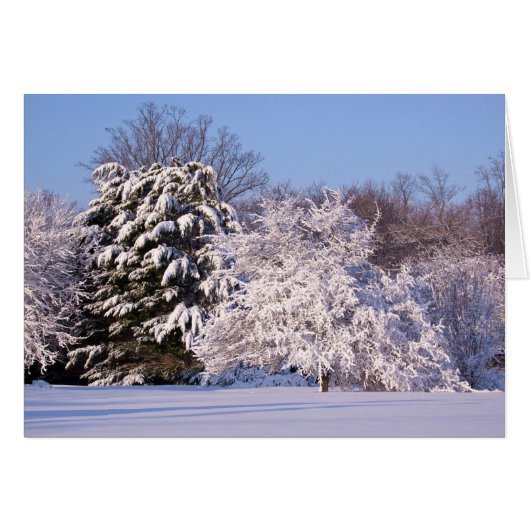 Beautiful Snow Scene Photo (Front Horizontal)