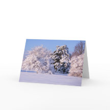 Beautiful Snow Scene Photo