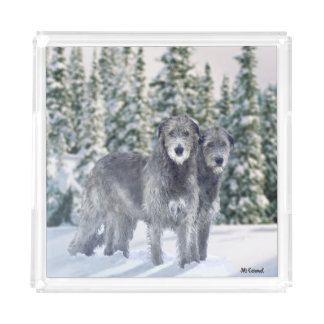 Beautiful Snowy Irish Wolfhound Scene Acrylic Tray