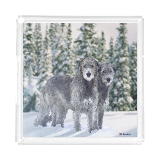 Beautiful Snowy Irish Wolfhound Scene Acrylic Tray (Front)