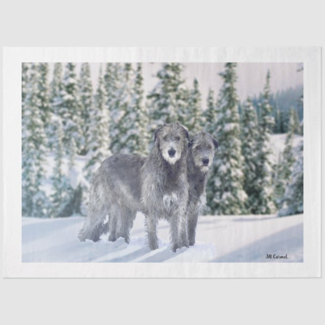 Beautiful Snowy Irish Wolfhound scene  Tissue Paper (Front)