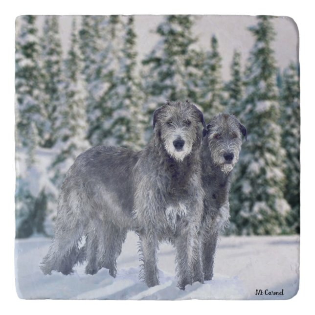 Beautiful Snowy Irish Wolfhound Scene Trivet (Front)