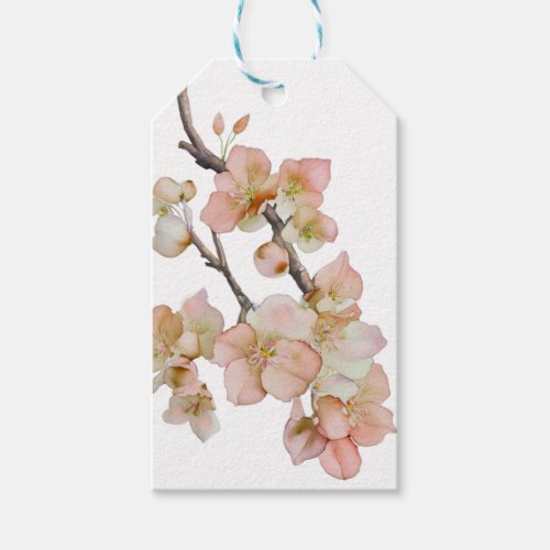 Beautiful soft orange floral watercolor blossoms  gift tags