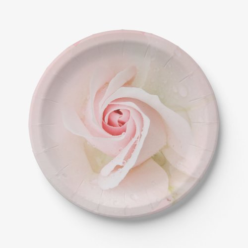 Beautiful Soft Pink Wet Rose Elegant Bridal Shower Paper Plates