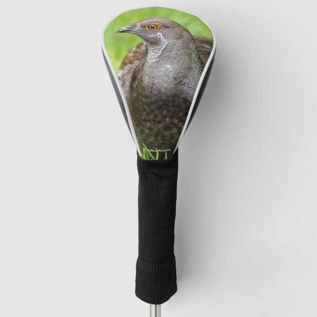 Beautiful Sooty Grouse in the Grass Golf Head Cover (Front)