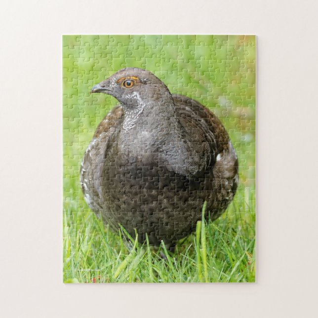 Beautiful Sooty Grouse in the Grass Jigsaw Puzzle (Vertical)
