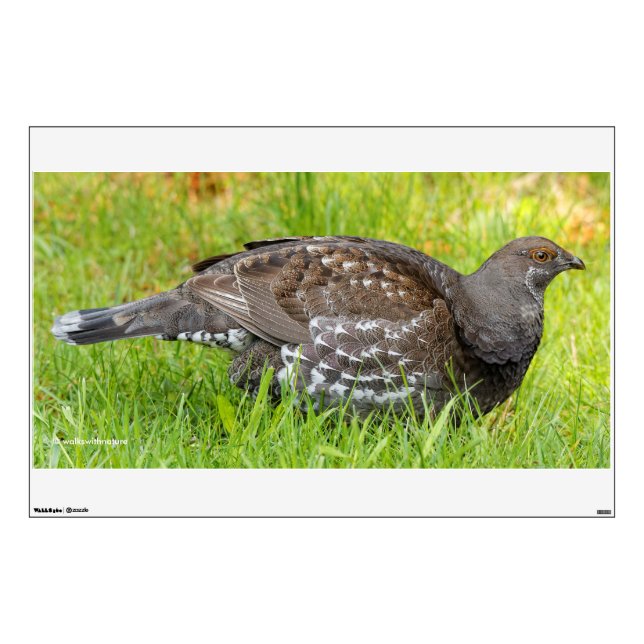 Beautiful Sooty Grouse in the Grass Wall Decal (Front)