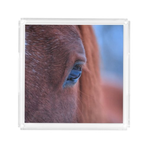 Beautiful Sorrel Mare Horses Eye Equine Photo Acrylic Tray
