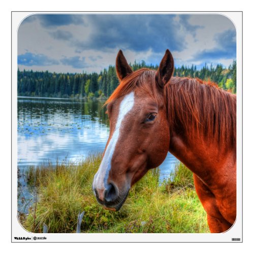 Beautiful Sorrel Mare  Lake View Equine Photo 2 Wall Sticker