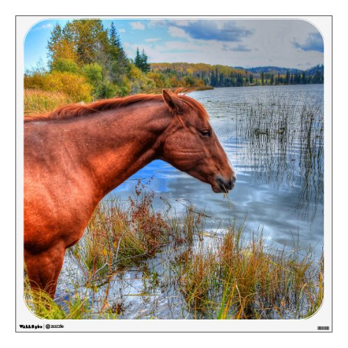 Beautiful Sorrel Mare  Lake View Equine Photo 3 Wall Sticker