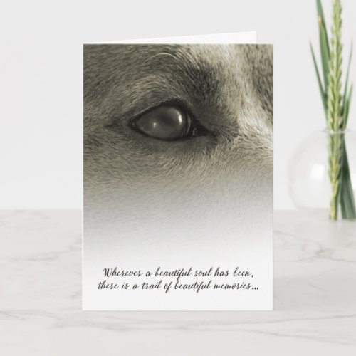  Beautiful Soul Dog Sympathy _ See Description Card