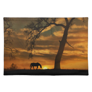 Beautiful Southwestern Horse and Sunset Placemats