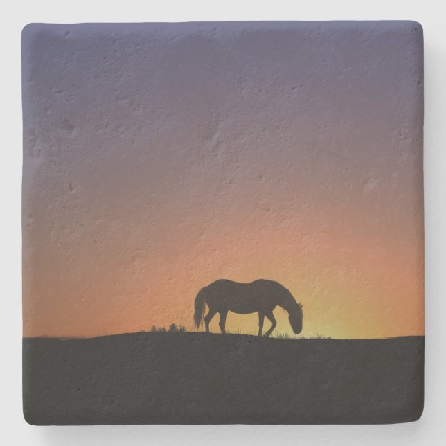 Beautiful Southwestern Horse Coasters (Front)