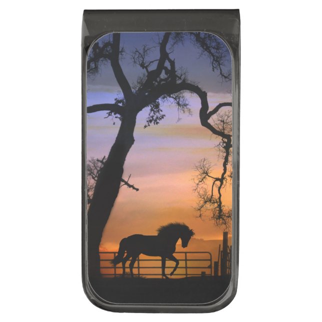 Beautiful Southwestern Horse Money Clip (Front Vertical)