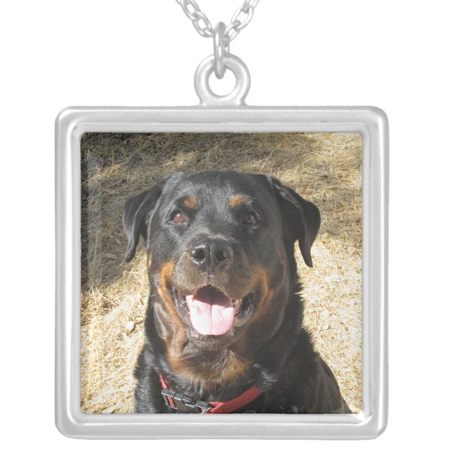 Beautiful Spirit Rottweiler Necklace (Front)